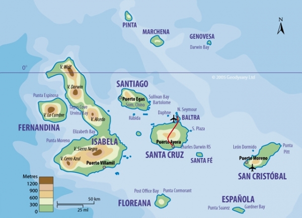 * 갈라파고스 제도(Galapagos Islands), Google