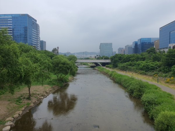운중천 들어오는 물 20230527