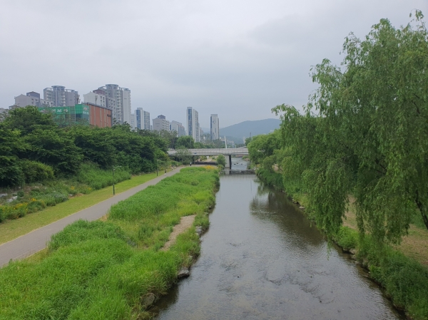 운중천 내려가는 물 20230527