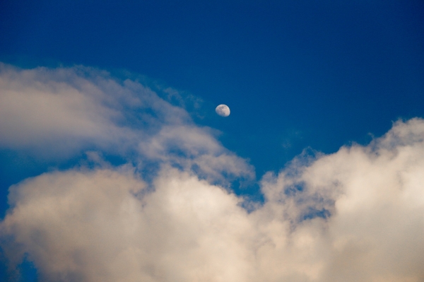 * 하얀 달-색깔과 날갯짓, Pixabay