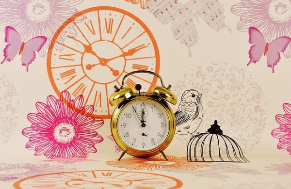 * 시간의 꽃-금리, Pixabay